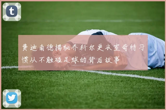 费迪南德揭秘乔科尔更衣室奇特习惯从不触碰足球的背后故事